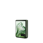 Copy-of-Copy-of-2024_Aura_BasicPack_Dill_Dyn-FrontSide-Right.png